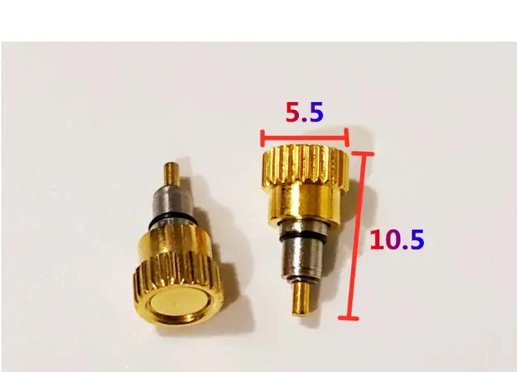 W7178 Gold Silver Color 5.0mm 5.5mm Head Diameter Stainless Steel Watch Pusher Time Adjusting Button for Day T